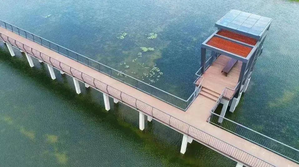 宜兴太湖大堤沿线的林庄港桥
